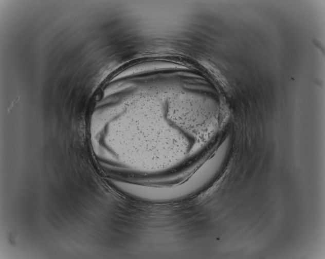 X0000091221457200709061450