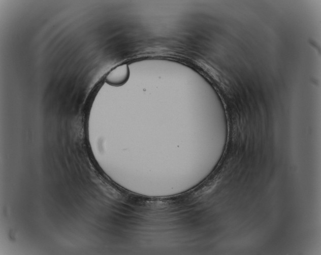 X0000091221458200709061450