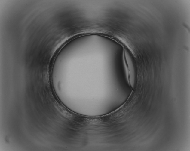 X0000091221460200709061450