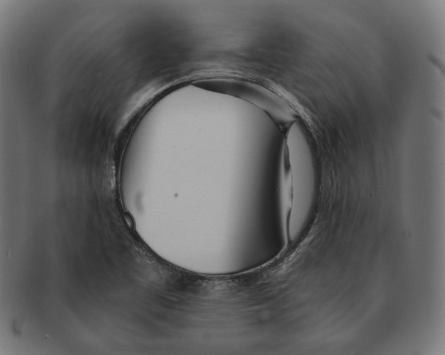 X0000091221461200709061449