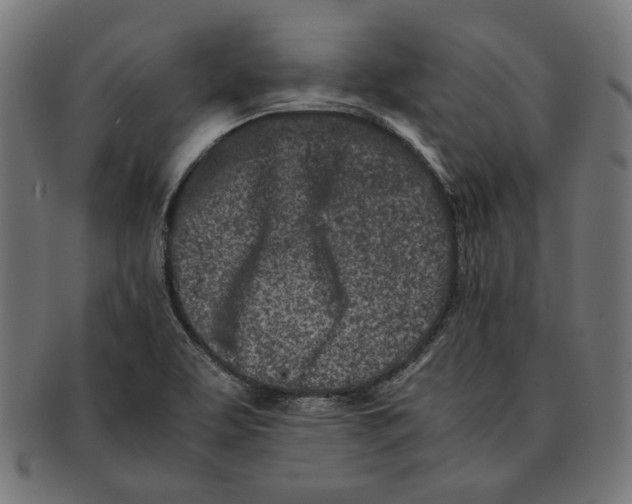 X0000091221463200709061449