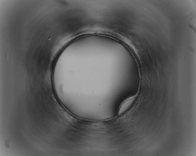 X0000091221464200709061449