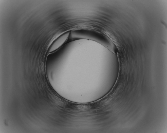 X0000091221465200709061449