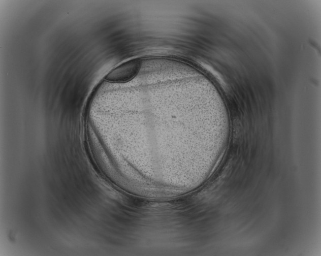 X0000091221467200709061449