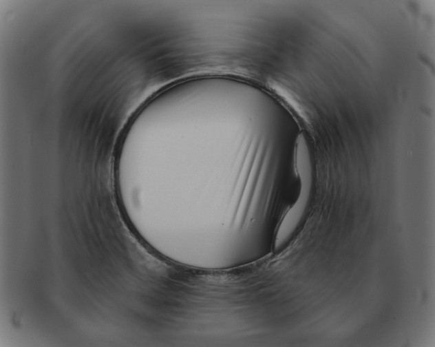 X0000091221468200709061449