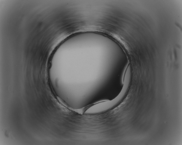 X0000091221469200709061449