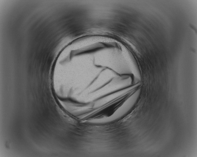 X0000091221471200709061449