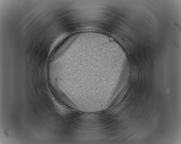 X0000091221474200709061449