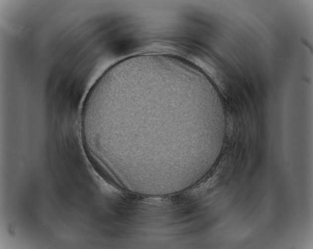 X0000091221478200709061449