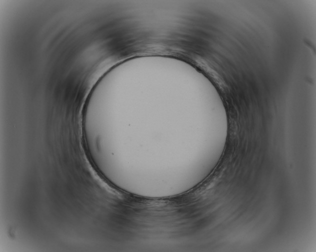 X0000091221479200709061449