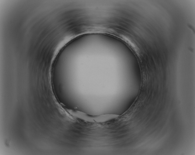 X0000091221480200709061449