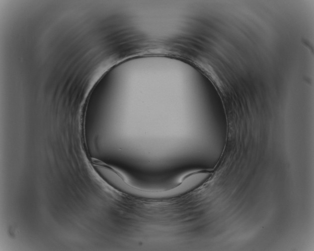 X0000091221483200709061449