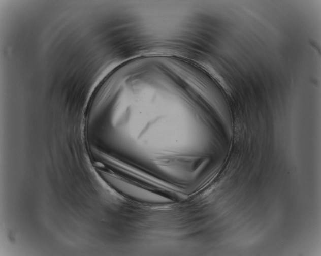 X0000091221484200709061449