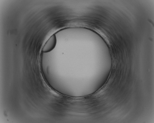 X0000091221486200709061449