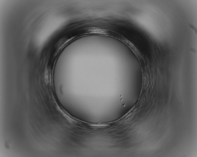 X0000091221487200709061449