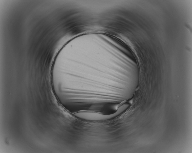 X0000091221488200709061449