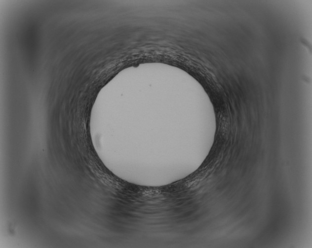 X0000091221489200709061448