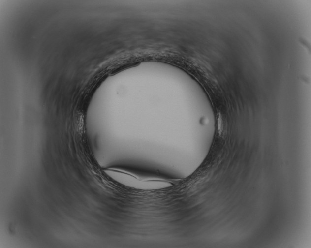 X0000091221492200709061448