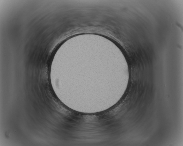 X0000091221498200709061448