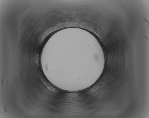 X0000091221499200709061448