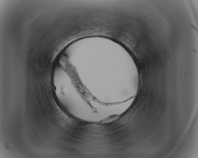 X0000091221500200709061448