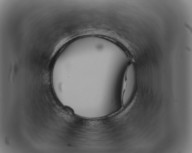 X0000091221501200709061448