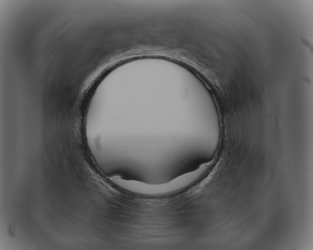 X0000091221502200709061448