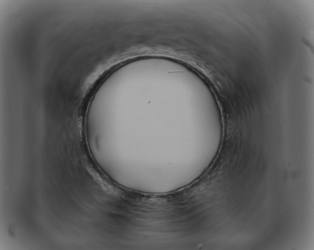 X0000091221503200709061448