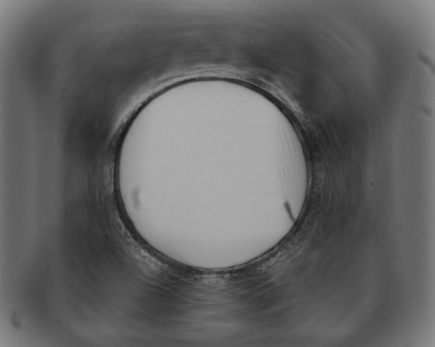 X0000091221504200709061448