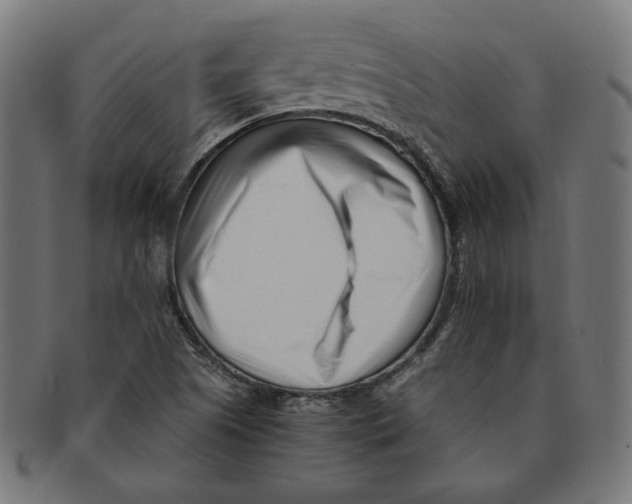 X0000091221505200709061448