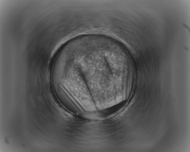 X0000091221506200709061448