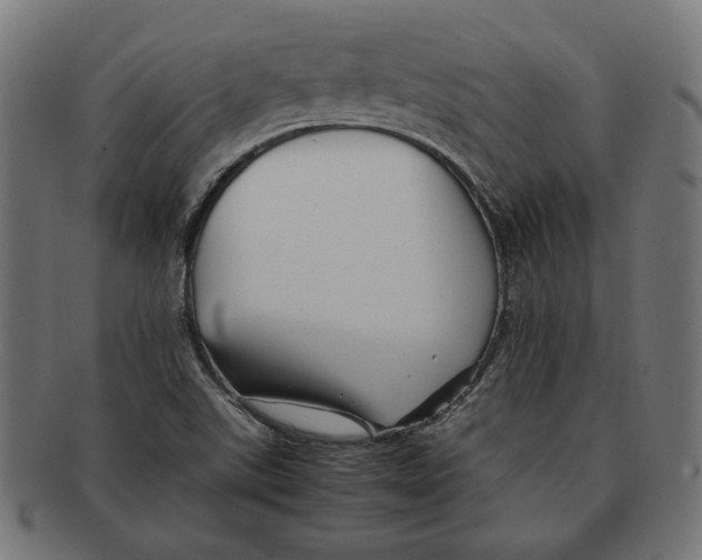 X0000091221507200709061448