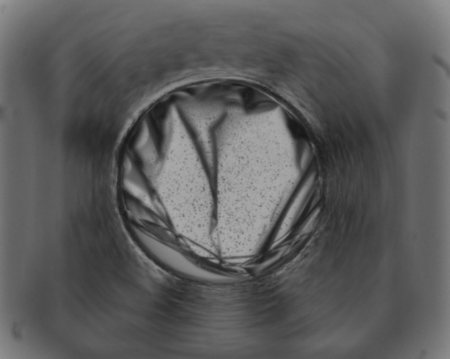 X0000091221508200709061449