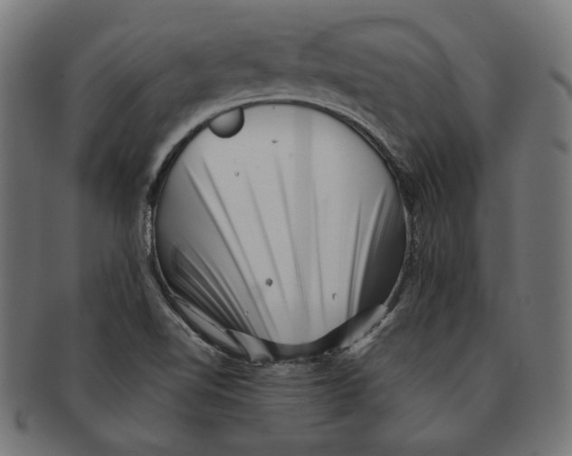 X0000091221510200709061449