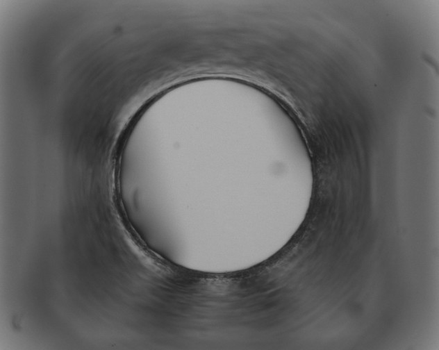 X0000091221511200709061449