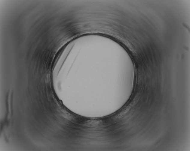 X0000091221513200709061449