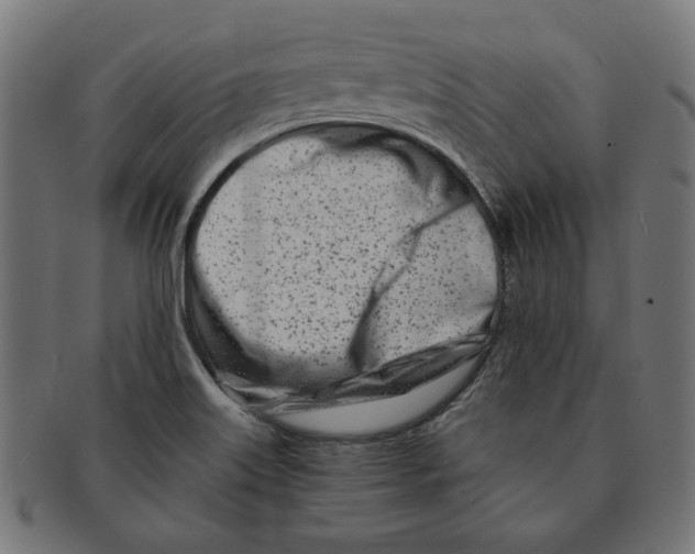 X0000091221515200709061449