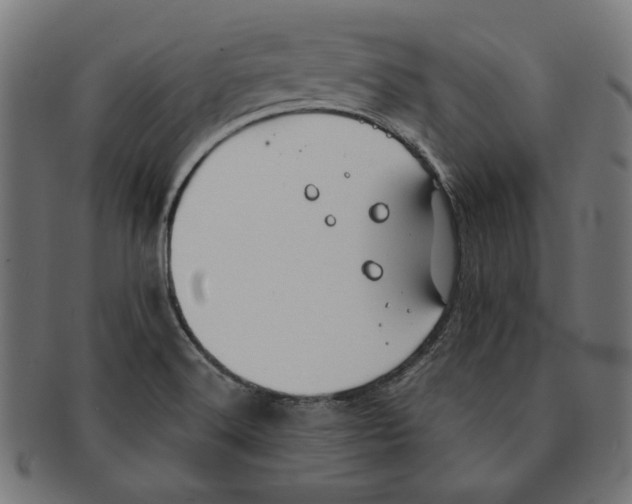 X0000091221516200709061449