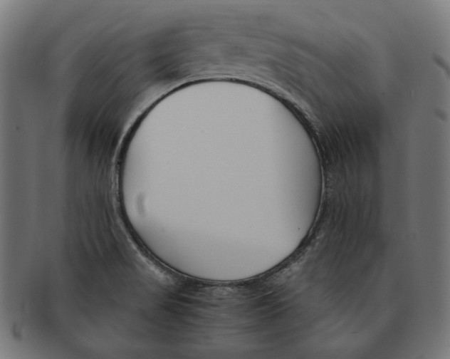 X0000091221517200709061449