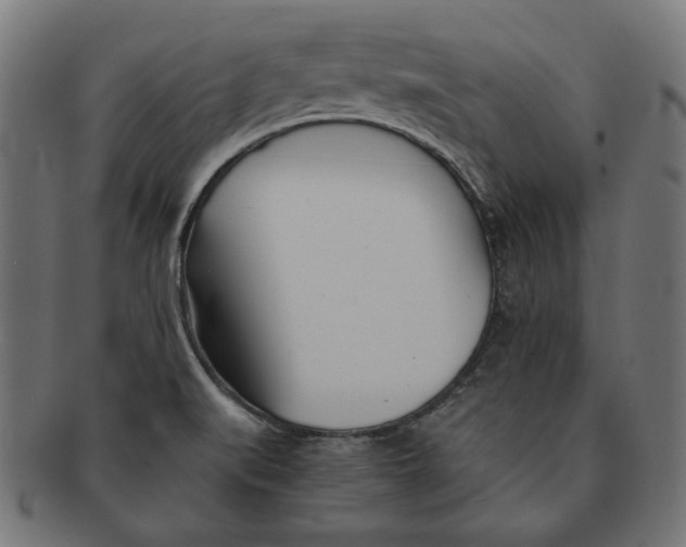 X0000091221519200709061449