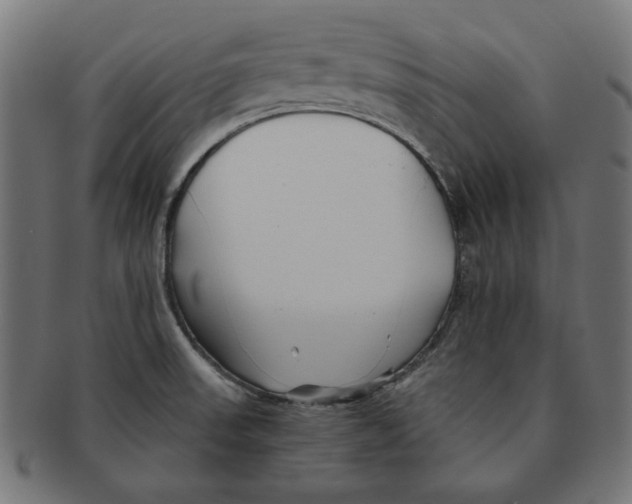 X0000091221523200709061449