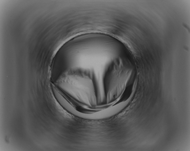 X0000091221524200709061449