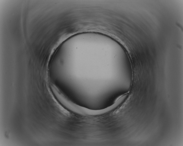 X0000091221525200709061449