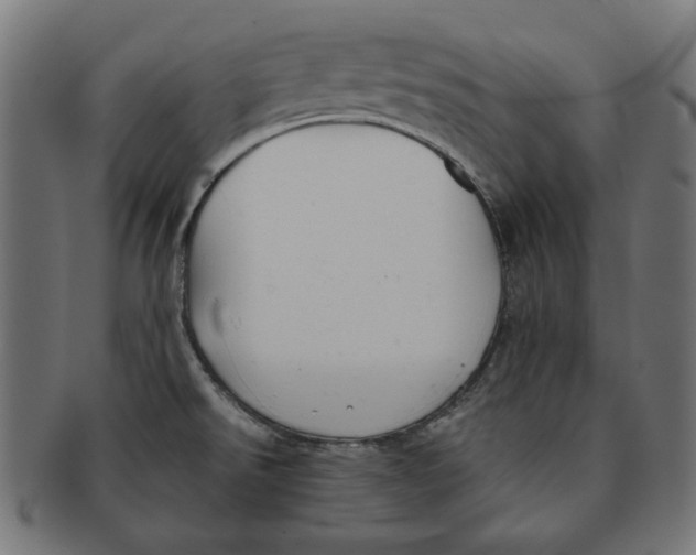 X0000091221526200709061449