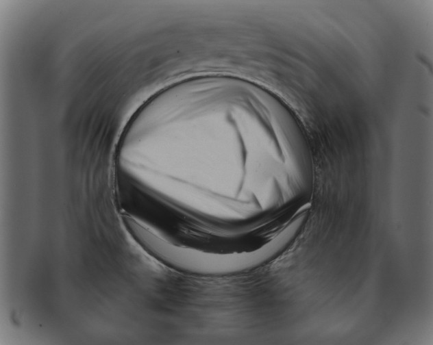 X0000091221527200709061449