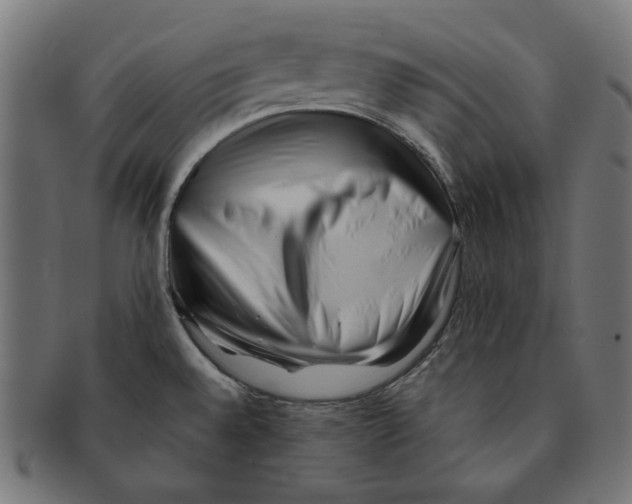 X0000091221528200709061449