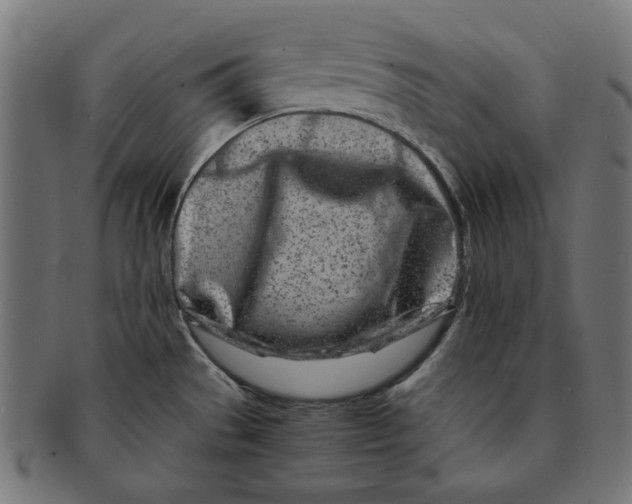 X0000091221529200709061449