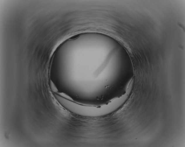 X0000091221530200709061449