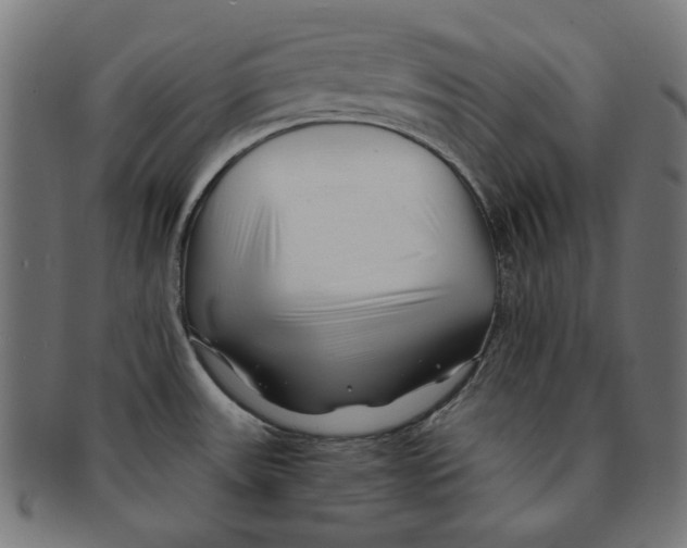 X0000091221531200709061449