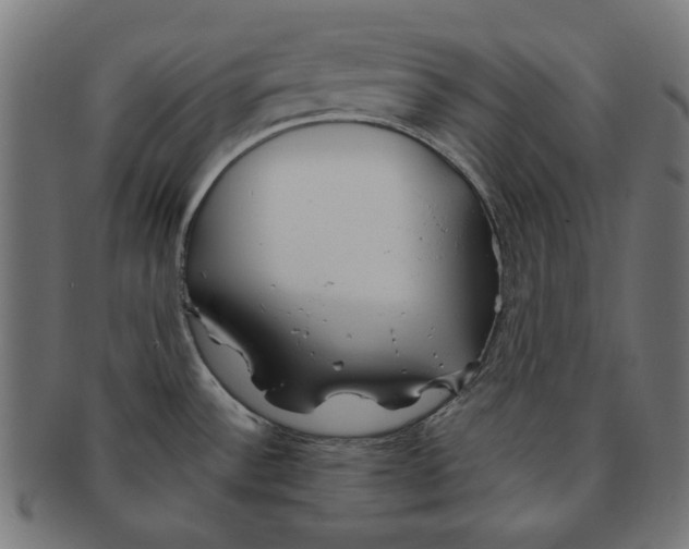 X0000091221532200709061449